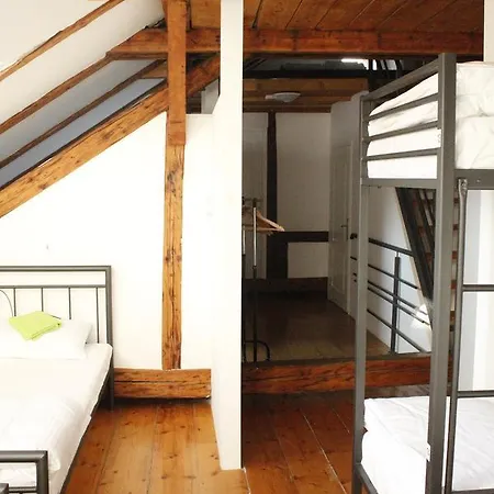 Nomad * Novi Sad